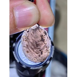 Cintamani Columbianites Crystal Necklace,Raw Solitaire Tektites Meteorite Stone Certified Healing Crystal Pendant,Irregular Shape