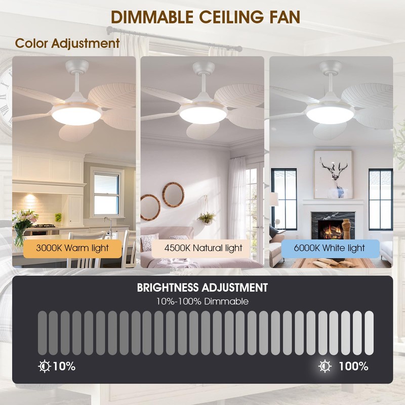 Wiviniya Ceiling Fans with Lights and Remote/APP Control, 48 Inch