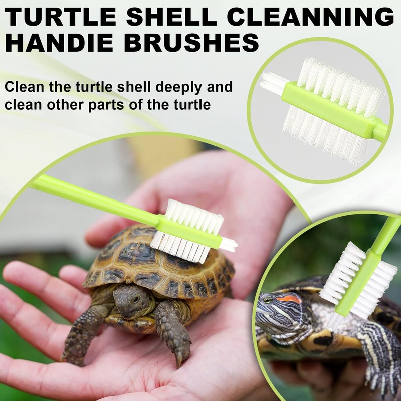 FOWSRHRG 4 Pack Turtle Brush with Suction Cup for Tank,