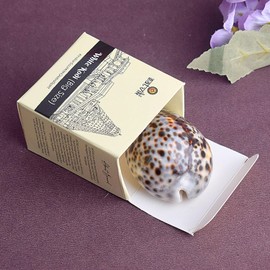 SATVIK 1 Pc Big Black Cowrie/Kodi/Black Sea Shell for Pooja | Protective & Auspicious Black Kowdi for Lakshmi Puja, Nazar Suraksha, and Home Decoration