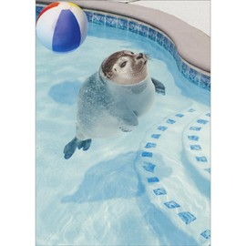 Avanti Press Seal Floating in Swimming Pool with Face Above Water Cute/Funny Friendship Card