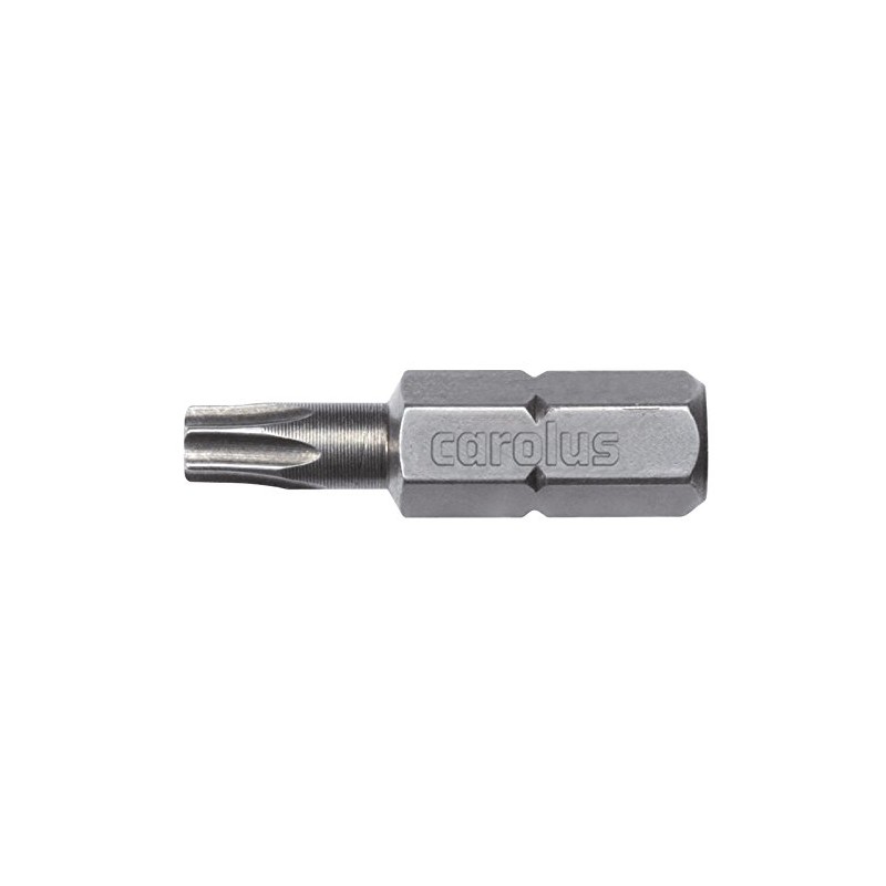 Carolus Screwdriver Bits With Hole, 3151.10