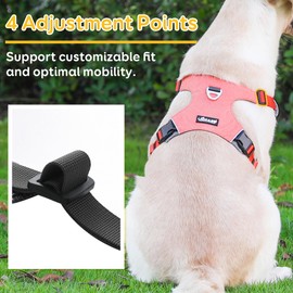 LIOPARD Dog Harness, Easy Walk Pet Harness No Pull with 2 Leash Clips, Reflective Running Soft Padded Adjustable Puppy Vest, Heavy Duty Seatbelt Harness for Car for Small Dogs (Orange, S)