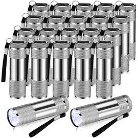 VIHOSE 20 Pcs Mini Flashlights Bulk, Bright Aluminum Handheld Flash Light with Lanyard Small LED Flashlights for Kids Night Reading Emergency Hurricane Camping Hiking, Batteries Not Included(Gray)