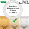 COOGGALAN 8 inch FC8T9/CW 22W Cool White Circular Fluorescent Light