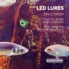 DUNKTEAM LED Underwater Fishing Lures，LED Lighted Bait Flasher，Deep Drop Fishing