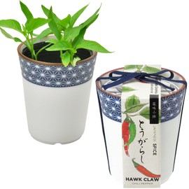 Seishin Ceramics All-Year Home Garden Easy Cultivation Kit for Growing Peppers, Herbs, and Vegetables (Free Research/Food Education) 7cm Diameter Pot with Dyed Small Pattern Random Design Condiment