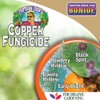 Bonide Captain Jack Copper Fungicide 16 oz Concentrated Plant Disease