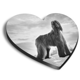 1 x Heart MDF Magnets - Afghan Hound Dog Puppy 37179