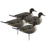 Avery Hunting Gear Over-Size Pintail FB-Active Pack (4 Pack)