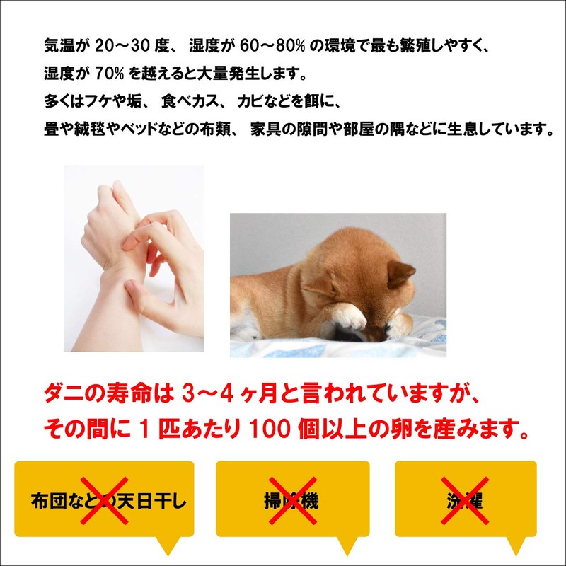 10 large mite sheets (color cannot be selected)