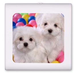 Plug in Dimmable LED Night Light with Dusk to Dawn Auto Sensor, Adjustable Brightness, Warm Light, Auto On/Off Nightlight for Bathroom, Hallway, Nursery, Bedrooms - Maltese Puppies