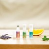 daily delight (デイリーディライト) Enjoy Natural Herbs Roll-On Aroma Mandarin Orange