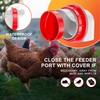 ZenxyHoC No Waste Chicken Feeders and Waterers - 6 Set