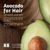 Common Ground Natural Shampoo and Conditioner Set; Paraben and Cruelty
