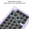 67 Keys DIY Mechanical Keyboard Kit with RGB Knob Wireless