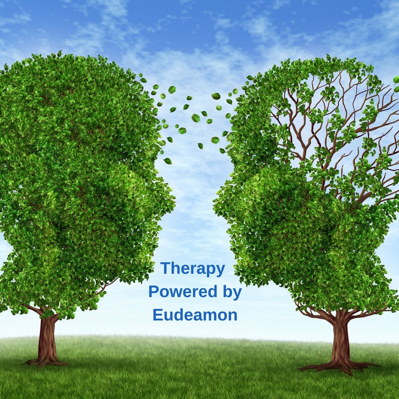 Eudeamon NAD Plus for Mental Performance | Supplement Your Diet