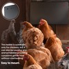 Econohome Safe Chicken Coop Heater, Safer Than Brooder Lamps, Gently