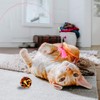 Goldge Cat Toy, Interactive 16 Pieces Cat Toy Mice Balls