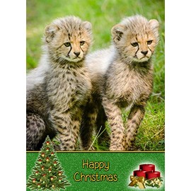 Cheetah Christmas Card 'Happy Christmas' - Special Xmas Card for Him Her Kids Male Female