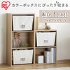 アイリスオーヤマ ワイヤーラック 棚 収納ケース 収納ボックス ワイヤーバスケット 幅38×奥行26×高さ25cm WIB-38 アイボリー(UNO)