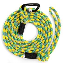 LUCKY LUCY Dog Lead 3 m, for Medium and Large Dogs, Reflective, with Strong Aluminium Carabiner, Beautiful Yellow