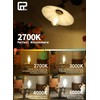 CRLight 4W Candelabra LED Edison Bulb 45W Equivalent 2700K Warm