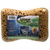 Carlinea 011012 Large Wash Sponge
