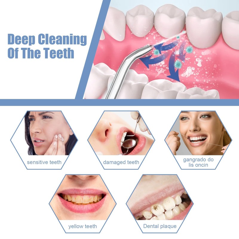 Wp-100 Standard Plastic Oral Hygiene Handle with 4 Irrigators