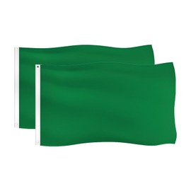 Sscon 2Pcs 3 x 5ft Polyester Flag Blank DIY Flag Plain Flags for Outdoor - Green