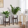 2 Packs Adjustable Plant Stand with Tray,Indoor Wood Plant Stand
