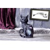 Nemesis Now Nine Lives Cat Figurine, Black, 22cm, Synthetic Resin