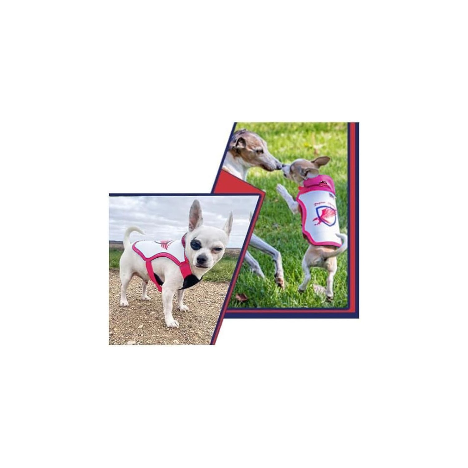 Raptor Shield Puncture Resistant Pet Vest for Small Dogs — Talon-Proof ...