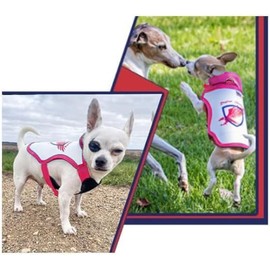 Raptor Shield Puncture Resistant Pet Vest for Small Dogs — Talon-Proof Protection Against Attacks by Coyotes, Hawks, Birds of Prey, Made in The USA, Four Sizes — Small, 4-6.5 lbs, Chest 10.5 to 13.5"