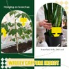 Qualirey 100 Pcs Dual Sided Fruit Fly Traps - Indoor