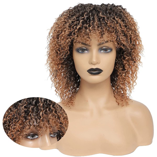 Afro Short Wig, Kinky Curly Wig, Curly Short Wigs for Black Women Curly Afro Wigs for Black Women Kinky Curly Wigs for Black Women (2X-T30)