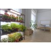 BoostGro LED Plant Grow Light Sunlike Full Spectrum Flower Hydroponics