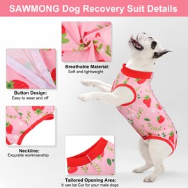 SAWMONG 2 Pack Recovery Suit for Dogs After Surgery, Dog Recovery Suit Soft Polyester, Pet Spay Surgical Suit Female Male, Dog Onesie Body Suit Substitute E-Collar Cone(Strawberry+ Peach,L)