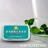 Barkleys Classic Mints Spearmint 0.05 kg, 1 unit