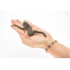 Deshen Du Anaconda Green, Snake, Realistic Rubber Model, Hand Painted