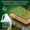 Nature's Freedom Hose-End Outdoor Pet Odor Eliminator – Gallon Enzyme