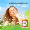 The Liver Formula Capsules - with Natural Ingredients - Suitable