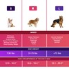 LeongLzt Field Guard, Vet-Recommended Dog Safety Mesh Protector for Foxtails,