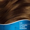 Wella Deluxe, Tinte Permanente 5.3 Castaño Claro Dorado, 207 G