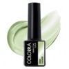 Calapia one-step syrup gel nail, S060 clover, 6g, 1 piece / 칼라피아 원스텝 시럽 젤네일, S060 클로버, 6g, 1개
