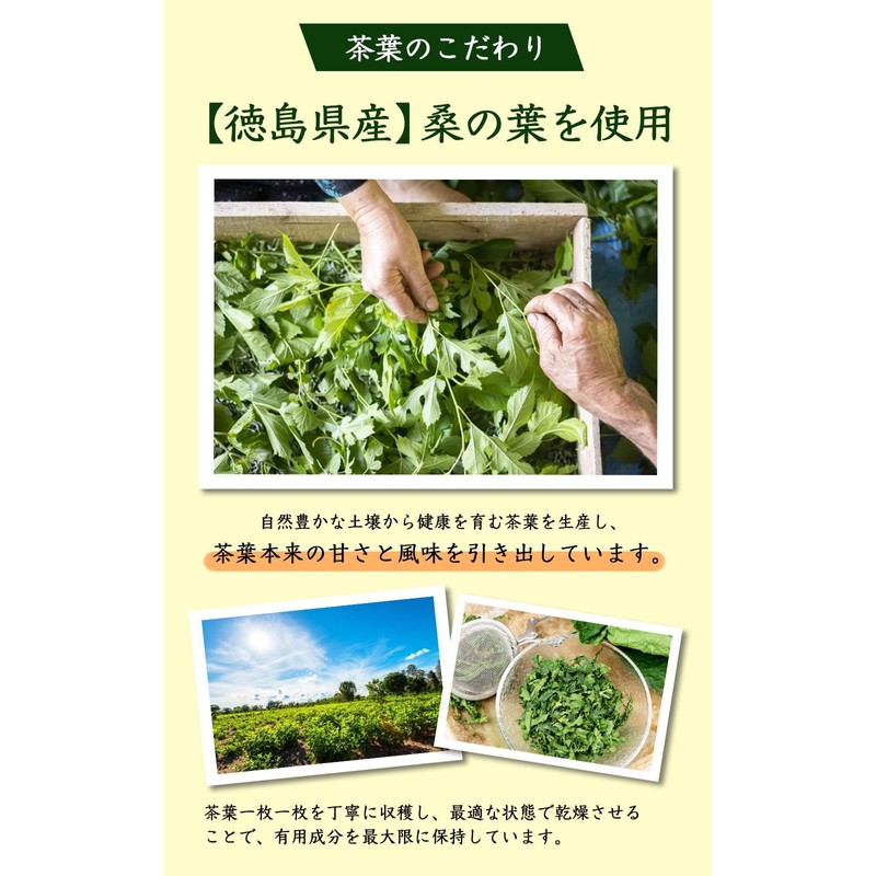 Natural Feast Mulberry Leaf Tea, Made in Japan, Tokushima Prefecture,