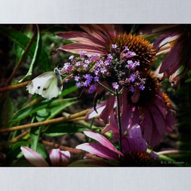 CafePress Purple Flowers With Butterfly 13"x13" Reusable Grocery Shopping Sling Tote Bag