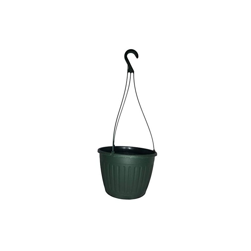 Landmark 10" Imperial Plastic Hanging Basket (Green, 5)
