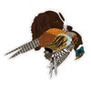 English Springer Spaniel with Pheasant Sticker Decal