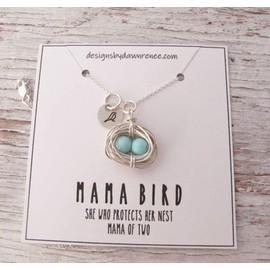 Mother's Necklace, Silver Bird Nest, Wire Wrapped, Robin Egg Necklace, Mama Bird